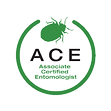ACE