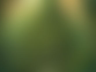 Weekly Stories 1 Tomb