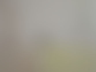 Ozzy day 36 Something new