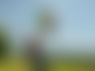 Dog Dancing & Dog Disc.“Baile y vuelo sobre cuatro patas”