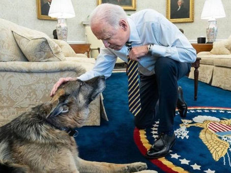 Los Biden despiden a Champ, su Pastor Alemán de 13 años