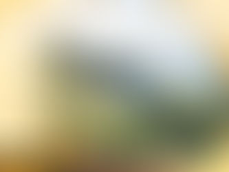 ¡Vacaciones a la vista! aquí te decimos algunos destinos para visitar con tu mascota