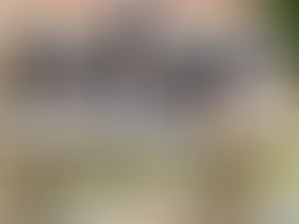 Bernés de la Montaña: Un compañero extraordinario