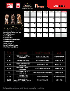 calendario.jpg