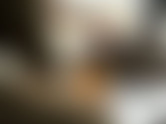 Esta primavera ¡gato hidratado, gato feliz! Descubre la alimentación mixta