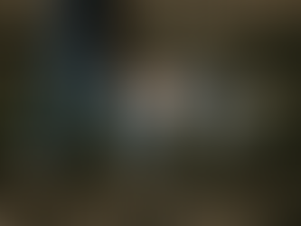 El seguro del perro de trabajo