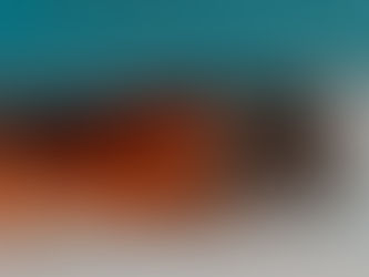 Los perros escuchan hasta 4 veces más que nosotros: así perciben los fuegos artificiales