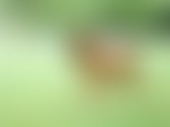 Salud y bienestar del fila