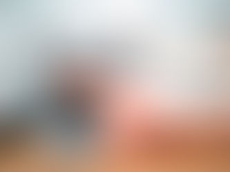 Mitos y verdades sobre nuestros felinos