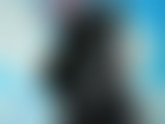 Generalidades del Schnauzer Gigante