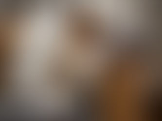 ¿Tu mascota ya se pasó de gordito? ¡Ayúdale a llegar a su peso ideal!