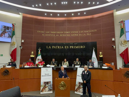 Senado de la República conmemora el día del Binomio