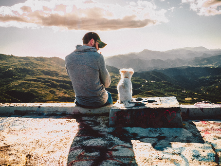 Séptimo festival de las artes, ciencias y humanidades