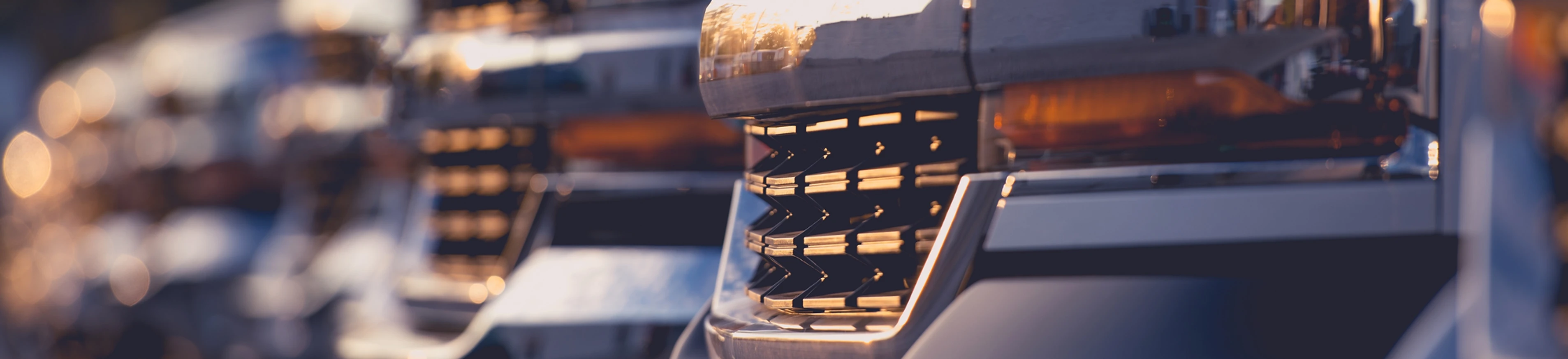 Bumpers of luxury SUV fleet