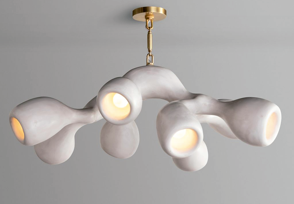 ANCESTHRA desplegable-12.png