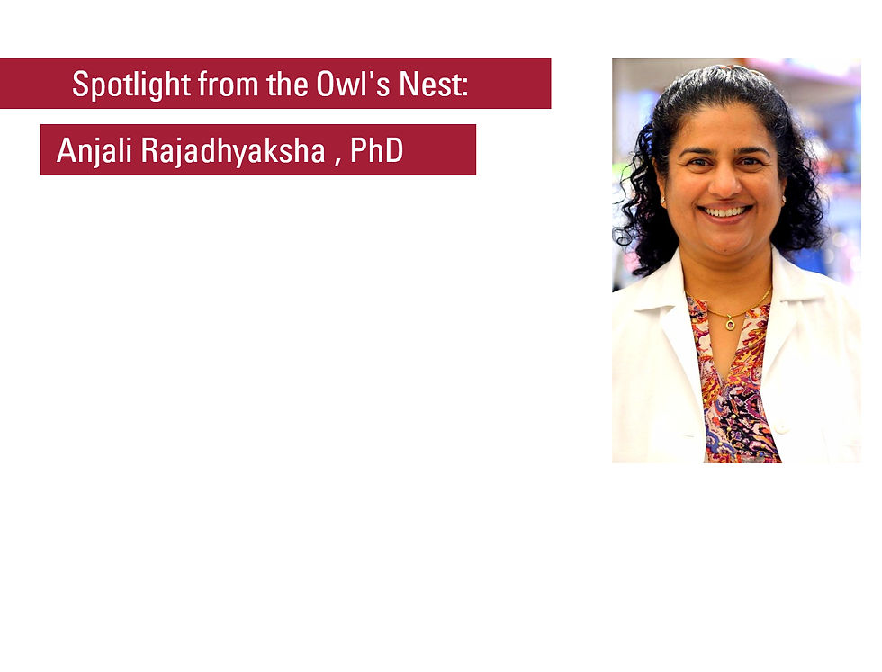 Spotlight in the Katz Catalyst