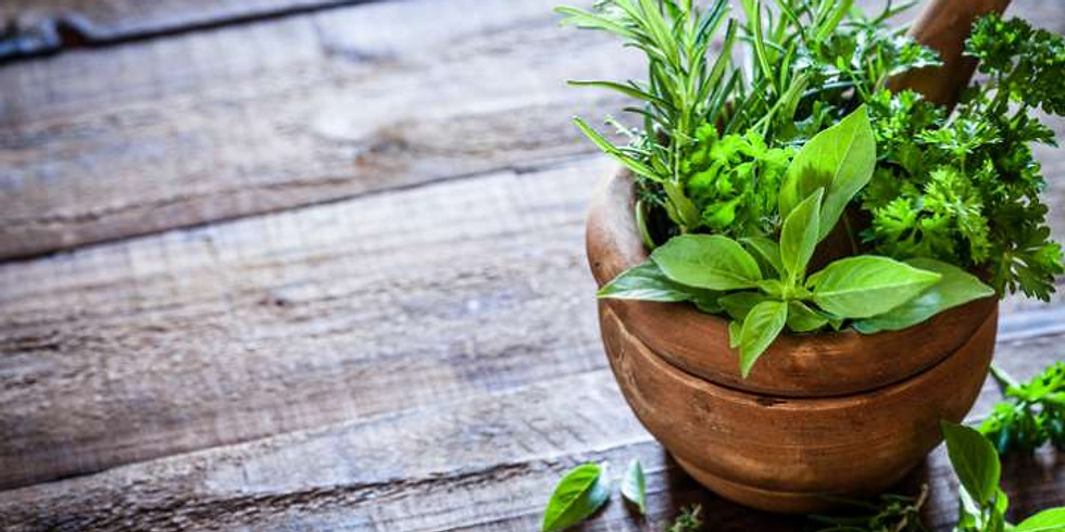 Les Plantes au Quotidien. Connaitre et appliquer la phytothérapie.