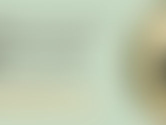 high achiever standing at threshold — trauma responses high achievers freeze fawn functional shutdown