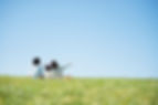 AdobeStock_275566619_s.jpg