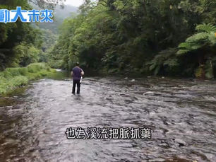 【媒體採訪】三立新聞:野溪消失生態驟變! 一探水泥工程遺害