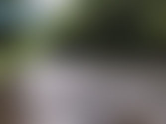 【媒體採訪】三立新聞:野溪消失生態驟變! 一探水泥工程遺害