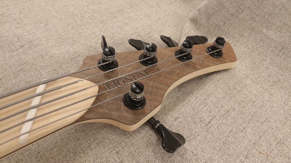 Thumbnail: New Winter Multi-scale 5 String Bass