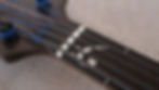 Thumbnail: Fretless 5 string Spring Bass Guitar (walnut body)
