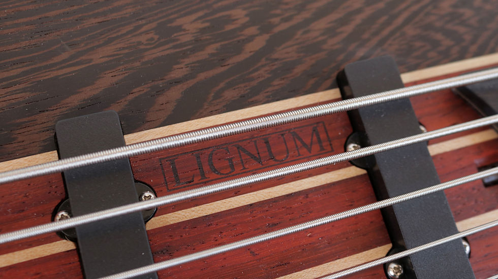 Thumbnail: 5 string Spring Bass Guitar (wenge body)