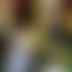 The Millennial generation and the Children of the World; Soulful Insight from Princess Diana