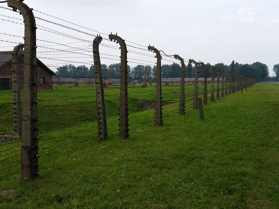 Auschwitz 8