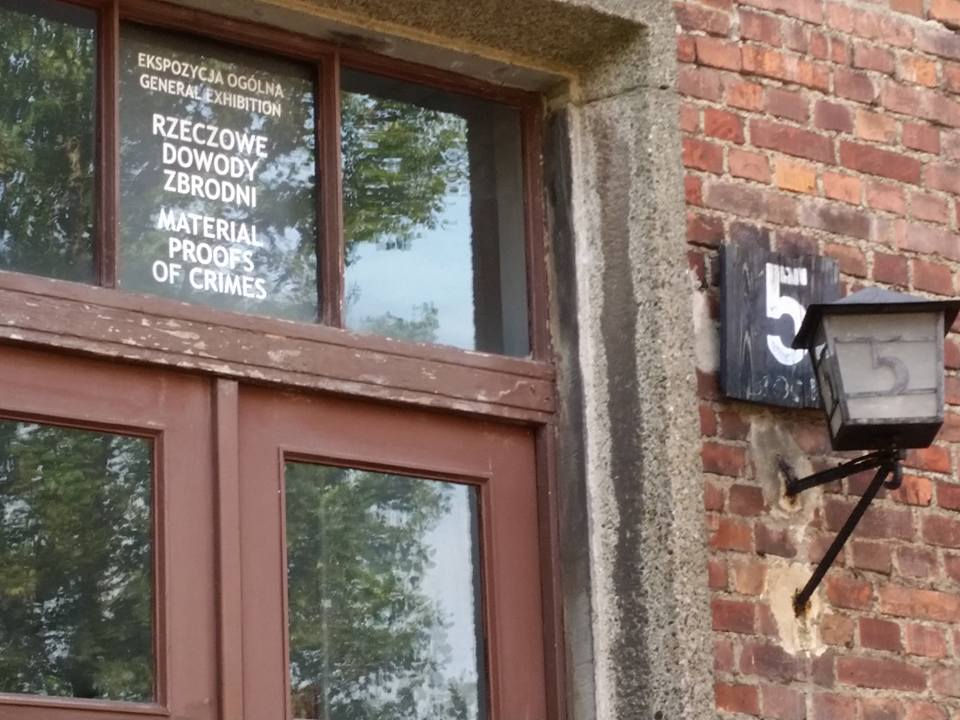 Auschwitz 5