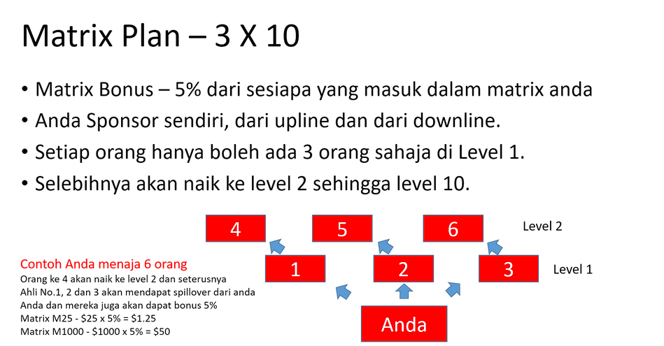 matrix 3 x 10.png