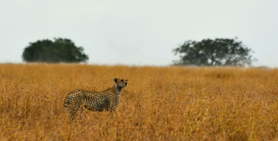 DSC_6442.jpg