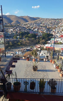 WhatsApp Image 2021-01-11 at 5.03.16 PM.