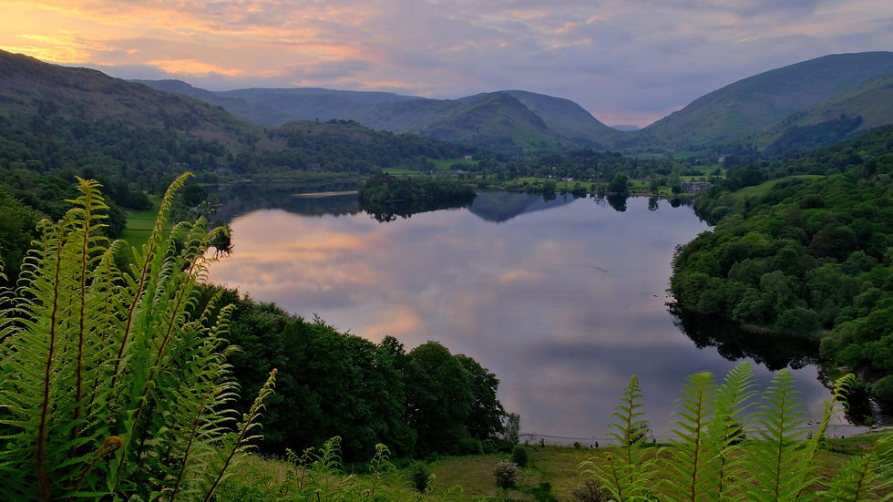 Web desktop banner 2.jpg