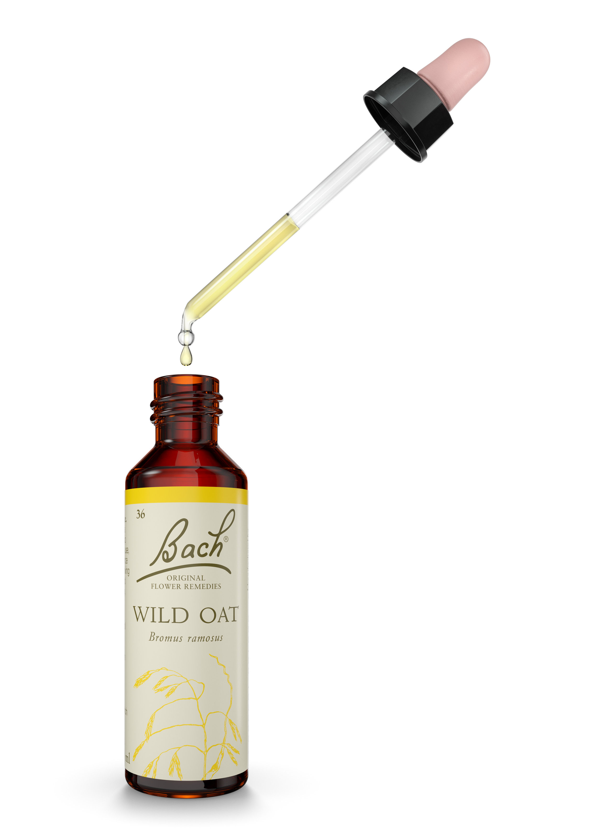 Wild Oat Bach Flower Remedy 20ml