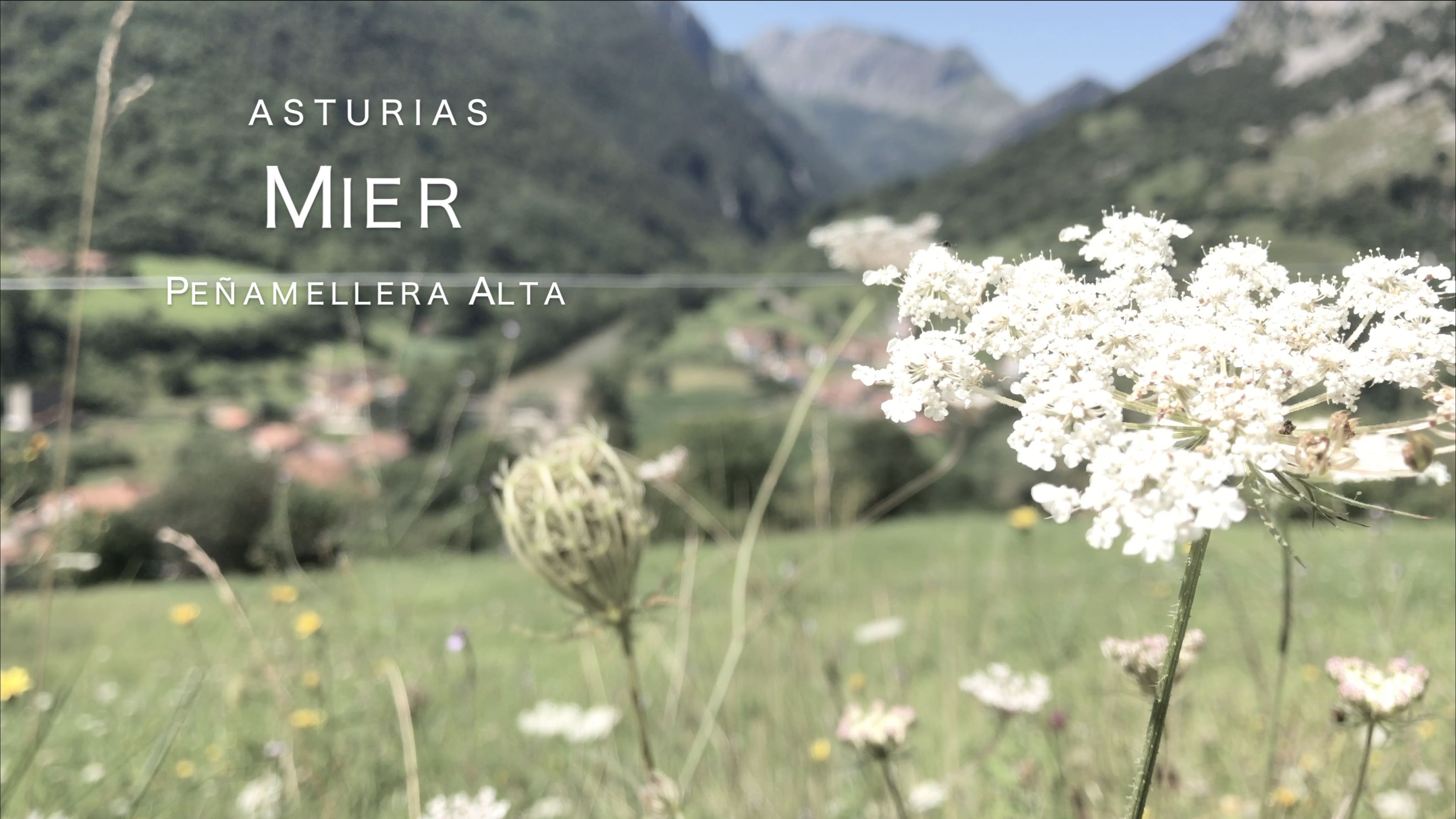 Asturias Mier