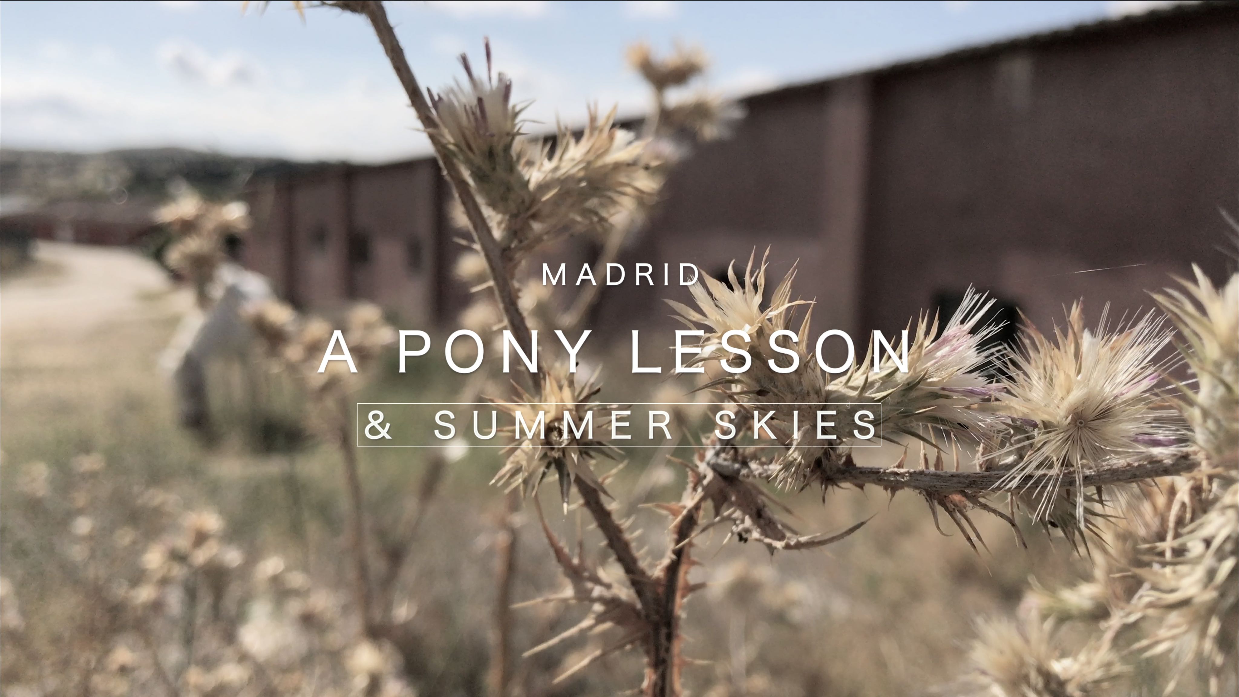 Pony Lesson