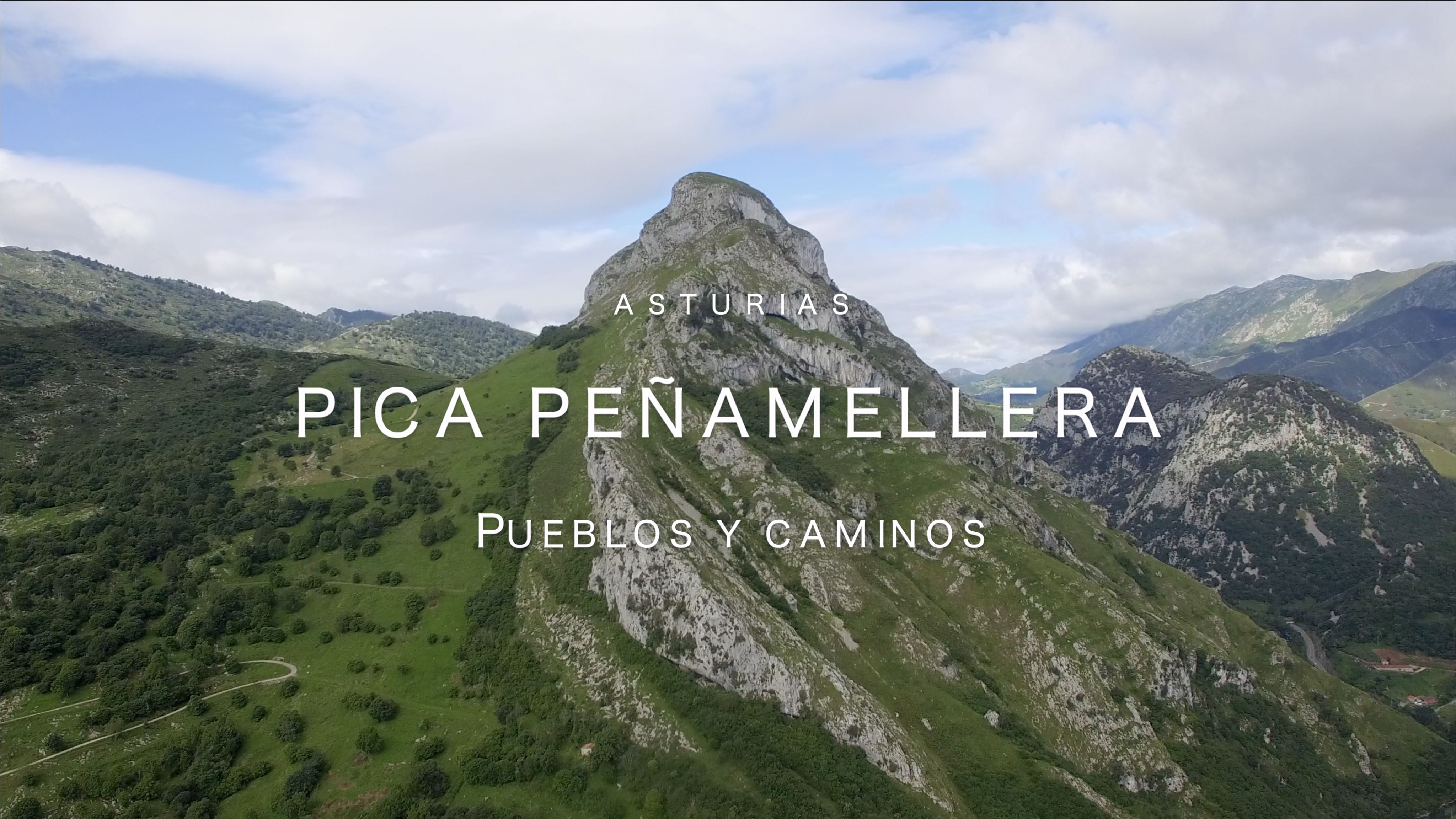 Pica_Peñamellera
