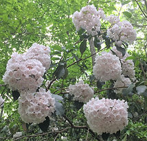 IMG2_7254.jpg