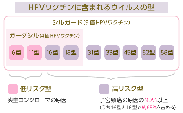 HPVワクチンに含まれるウイルスの型.png