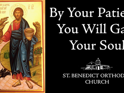 By Your Patience You Will Gain Your Soul