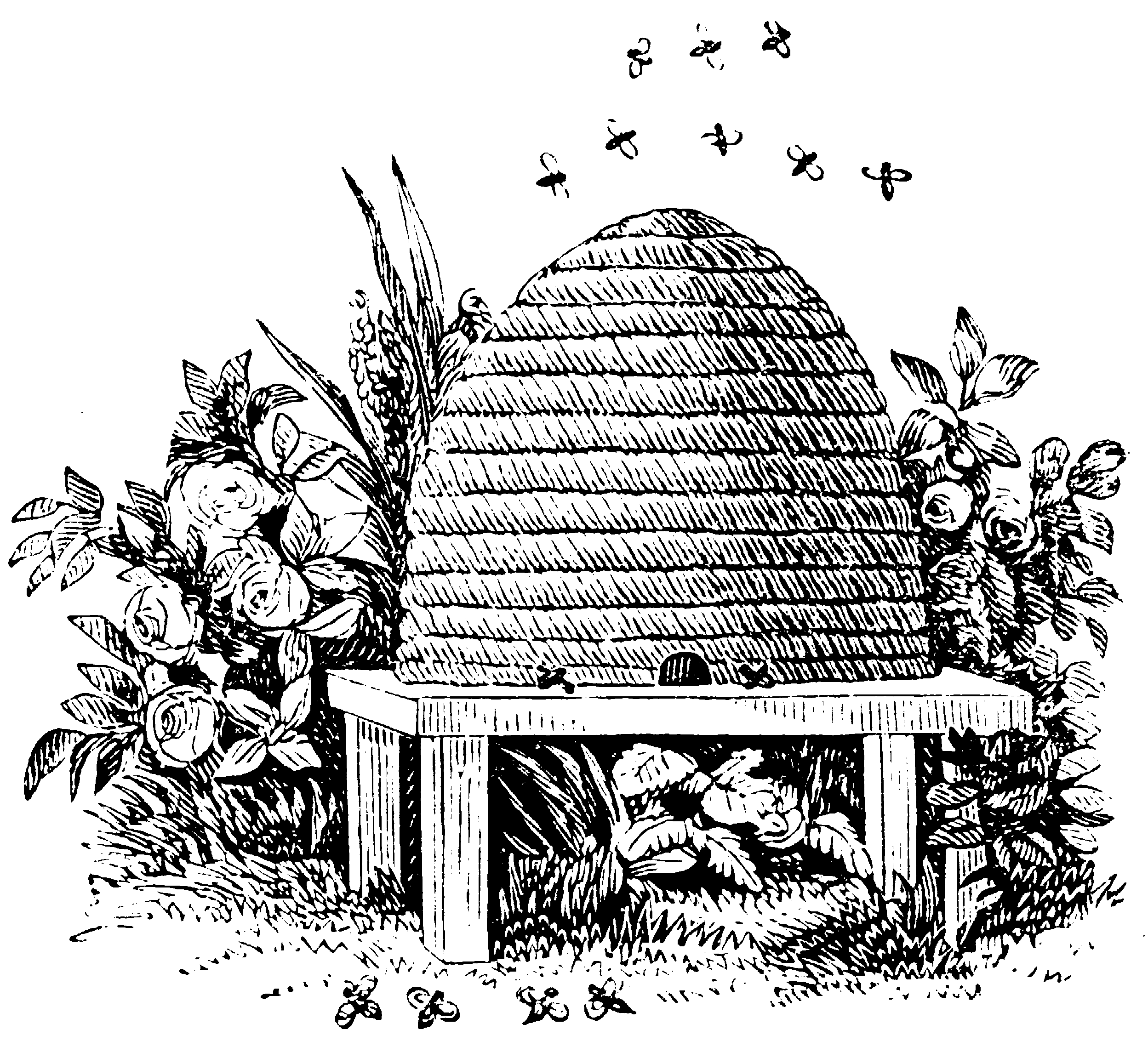 Masonic Beehive