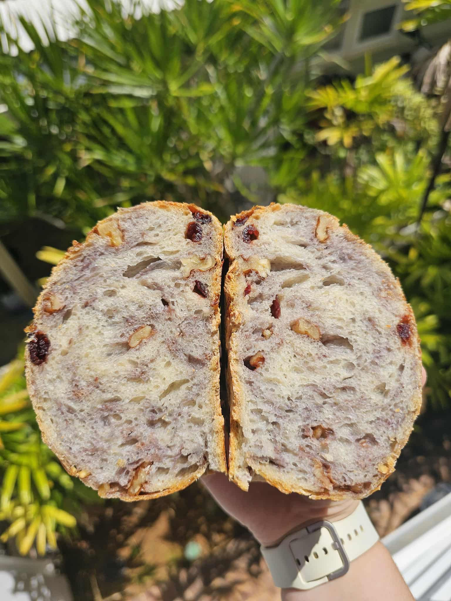 Cranberry Walnut Sourdough