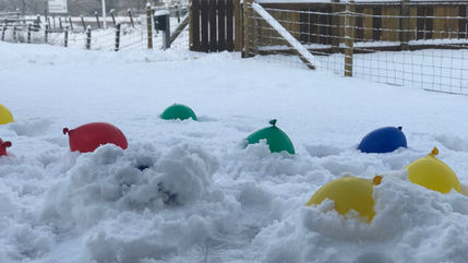 Snow Science