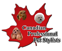 logosm.png