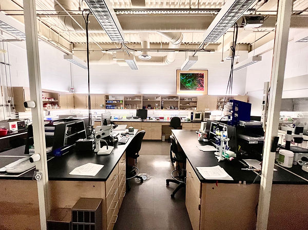 Gnecco Lab Space