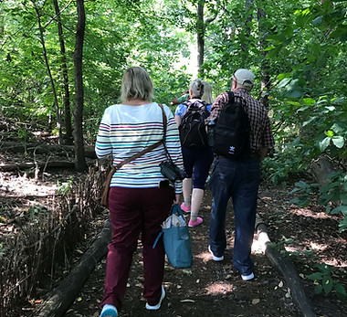 Central Park Walk 2021 _2.jpg