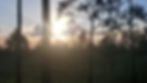 Photo of forest in La Moskitia with sun setting behind some trees