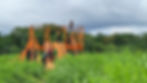 Parrot rangers work hard, camping in the forest to build a better future through the development of a wildlife sanctuary